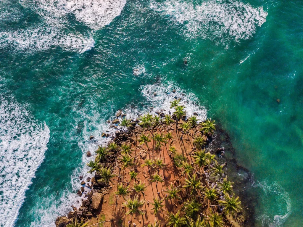 Mirissa coast from above, Sri Lanka – Island Walkers