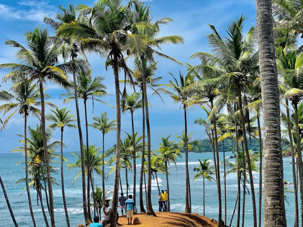 Coconut Tree Hill, Mirissa, Sri Lanka – Island Walkers